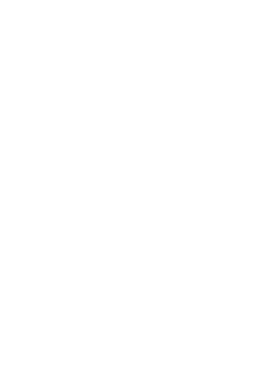 laajavuori logo